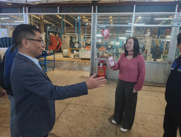 1765533658970196.png image.png